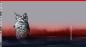 Preview: French Terry Panel Wolfsgesicht Rot ca. 88 cm Sunset Serie by Thorsten Berger von Swafing